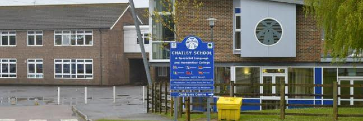 Caroline Goodwin (@preview-friendofchailey) profile image