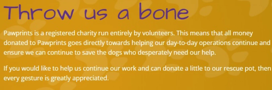 Anita Twigger (@preview-pawprints) profile image