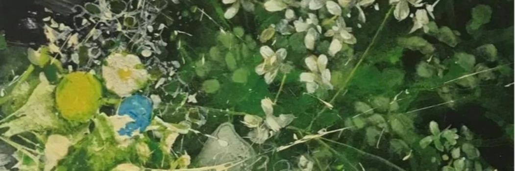 David Light Gallery (@preview-dalightgallery) profile image