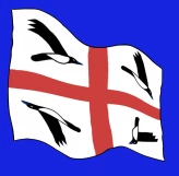 Franco Bollo profile image