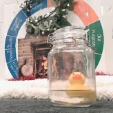 carl the duck :3 profile image