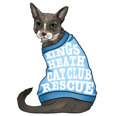 Kings Heath Cat Rescue (@preview-khccfundraising) profile image