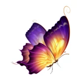 Live Life Well-Being Centre and Social Enterprises (@preview-livelifesocialenterprises) profile image