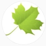 Woodgrange Infant School PTA (@preview-woodgrangepta) profile image