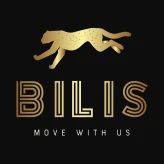 Bilis Electric Mopeds (@preview-bilis) profile image