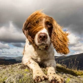 Max Out in The Lake District (@preview-maximo) profile image