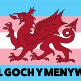 Wal Goch Y Menywod (@preview-walgochymenwod) profile image