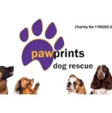 Anita Twigger (@preview-pawprints) profile image