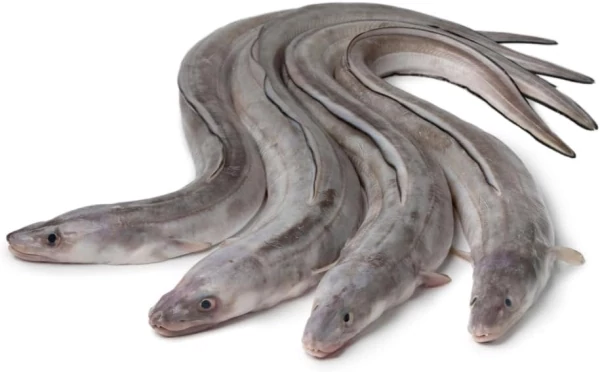 Whole Conger 4kg promotional image