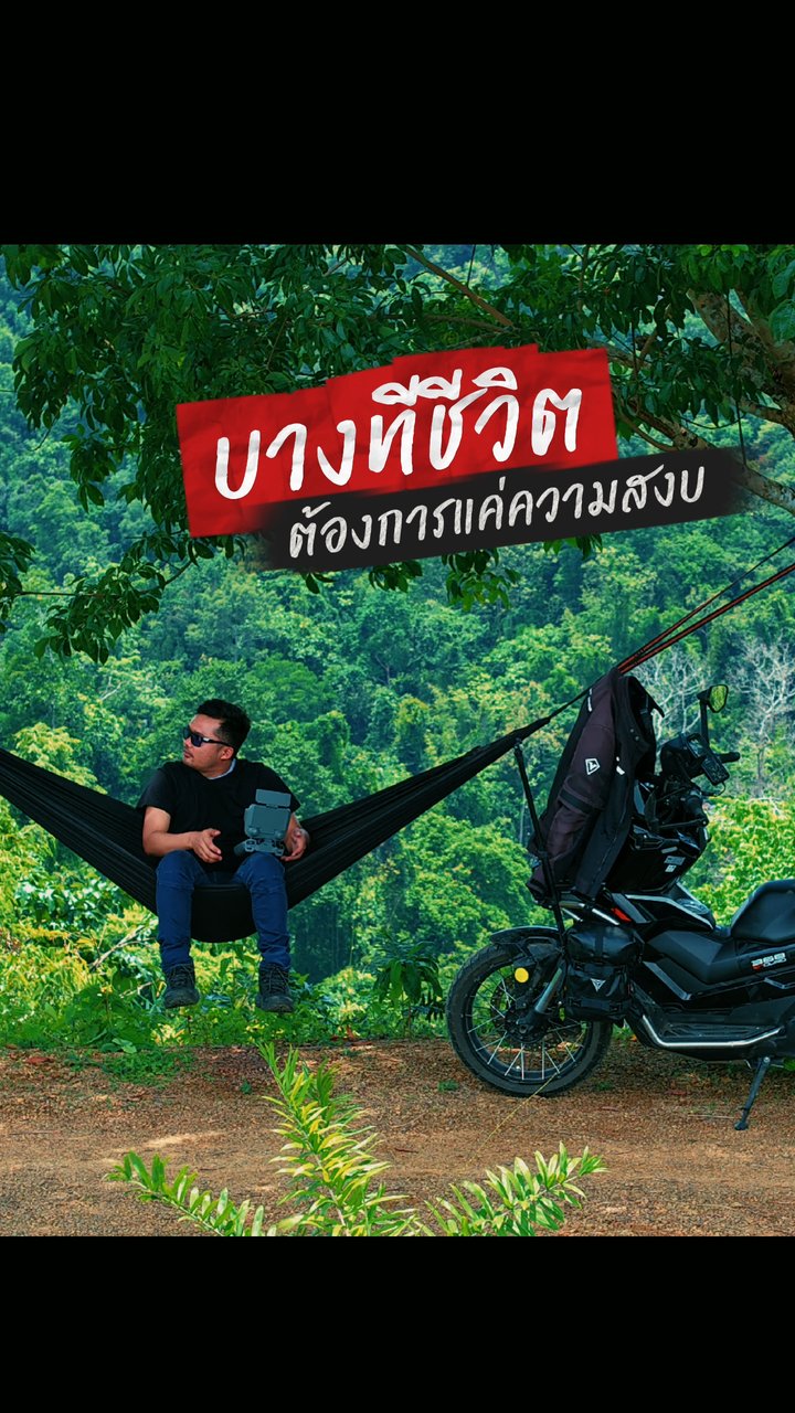ถนนลอยฟ้าของจริง วิวสองข้างสวยมาก