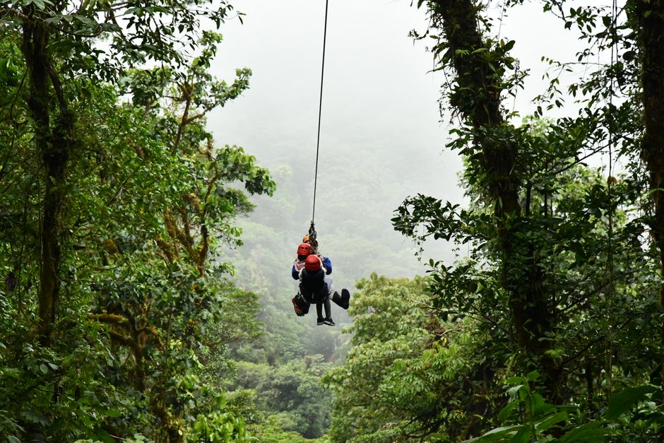 Orman üzerinde zipline