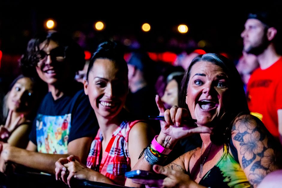 Vibrant concert crowd