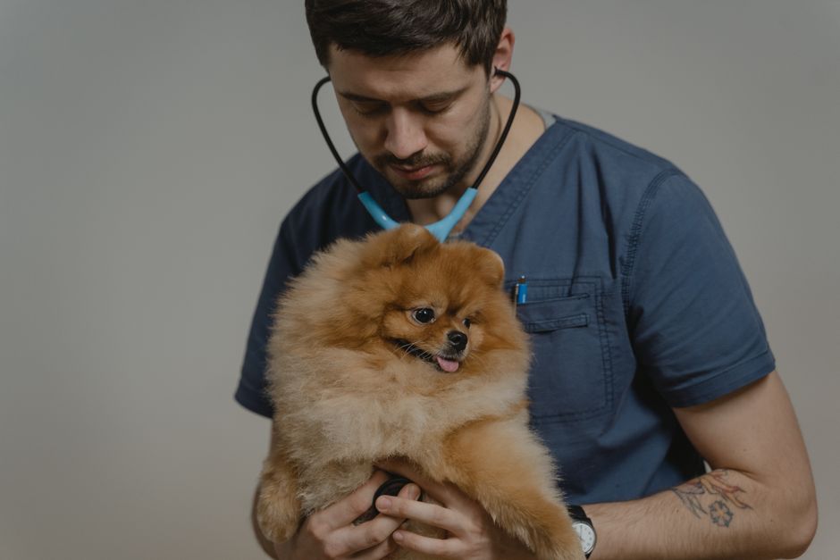 Grooming