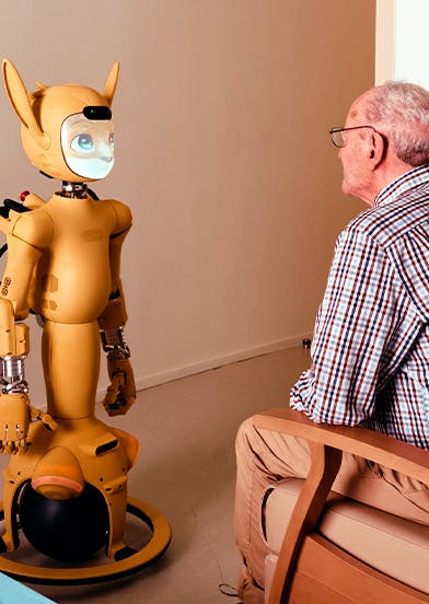 Mirokai ES - Image 3