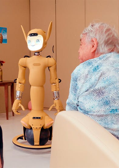 Mirokai ES - Image 6