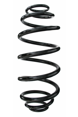 Suspension Spring (GKNW10072)