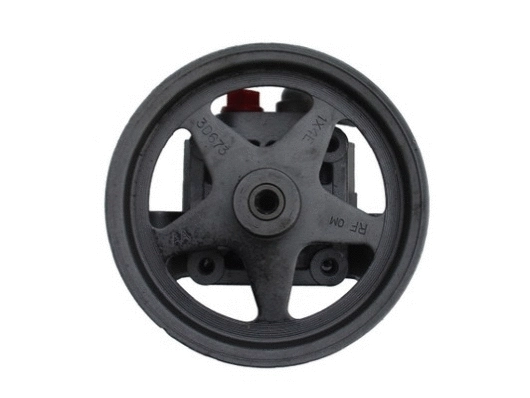 Hydraulic Pump, steering (54167)