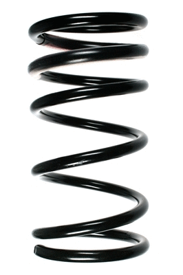 Suspension Spring (55322)