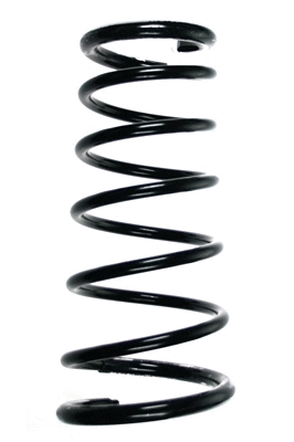 Suspension Spring (48889)