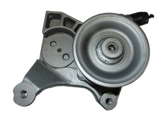 Hydraulic Pump, steering (54448)