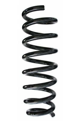 Suspension Spring (GKNW10071)