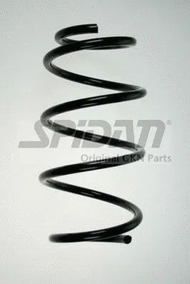 Suspension Spring (85860)