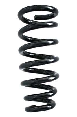 Suspension Spring (88017)