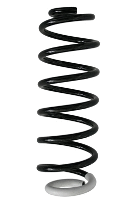 Suspension Spring (87371)