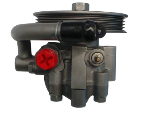 Hydraulic Pump, steering (GKNY10059)