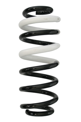 Suspension Spring (88235)