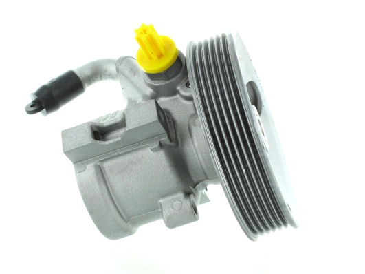 Hydraulic Pump, steering (GKNY10136)