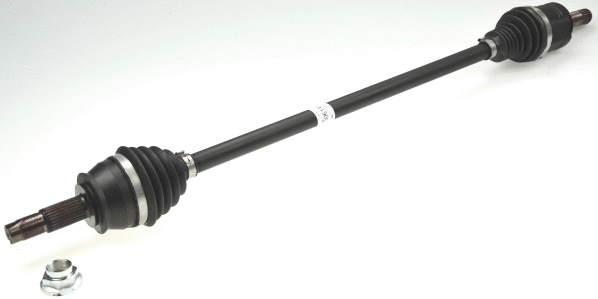 Drive Shaft (25951)