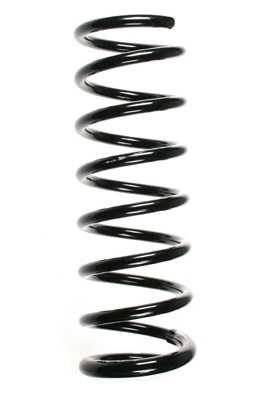 Suspension Spring (48890)