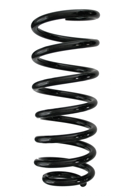 Suspension Spring (85697)