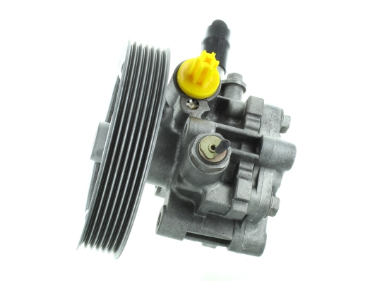 Hydraulic Pump, steering (GKNY10044)