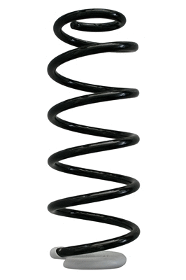Suspension Spring (87366)