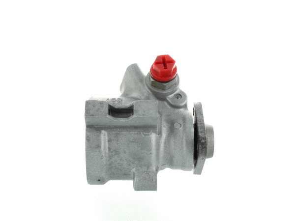 Hydraulic Pump, steering (54041)