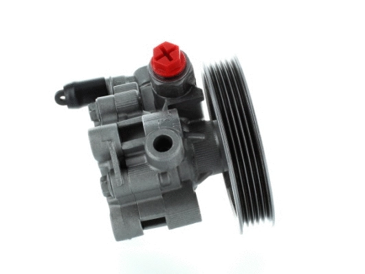 Hydraulic Pump, steering (54269)