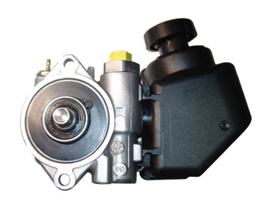 Hydraulic Pump, steering (54305)