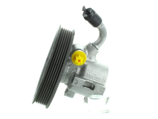 Hydraulic Pump, steering (GKNY10039)