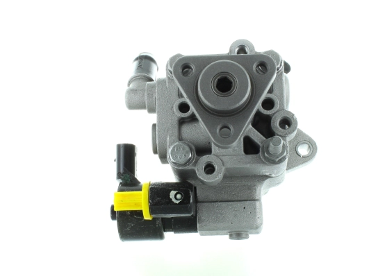 Hydraulic Pump, steering (GKNY10025)