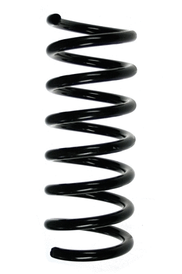 Suspension Spring (48272)