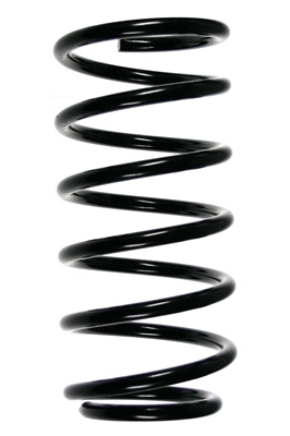 Suspension Spring (48499)