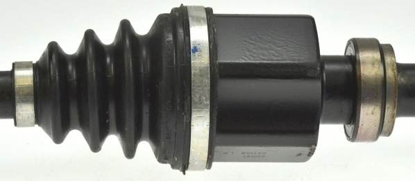 Drive Shaft