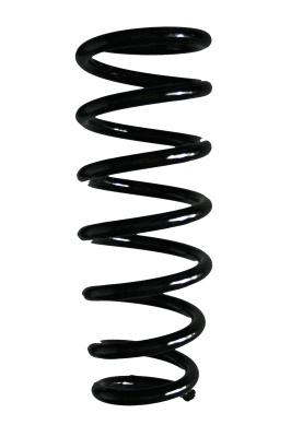 Suspension Spring (85462)
