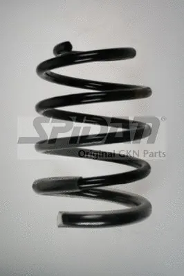 Suspension Spring (85400)
