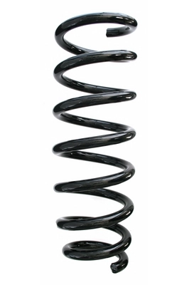 Suspension Spring (GKNW10068)
