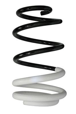 Suspension Spring (88008)