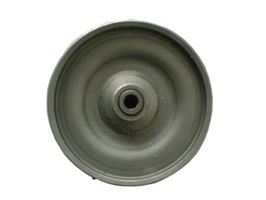 Hydraulic Pump, steering (53786)