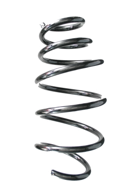 Suspension Spring (87682)